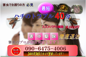 害虫駆除・ゴキブリ駆除・