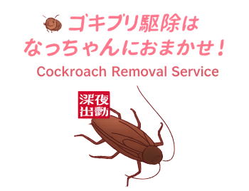深夜ゴキブリでお困りの方の救世主　害虫駆除の横浜大興です。