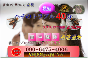便利屋なっちゃん　深夜のゴキブリ駆除