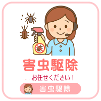 クモ駆除